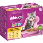 Whiskas Junior Kittenfutter mit Geflügel 