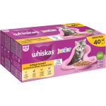 Whiskas Junior Katzenfutter nass mit Geflügel 