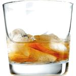 Skandinavische Eva Solo Whiskygläser 270 ml aus Glas mundgeblasen 