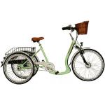 Wild Eagle E-Bike, Nabenschaltung, grün, mint