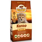 Wildcat | Karoo | Kitten | 3 kg