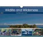 Wildlife and Wilderness (Wall Calendar 2021 DIN A4 Landscape)