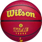 Wilson NBA Player Icon Outdoor Größe 7 Rot