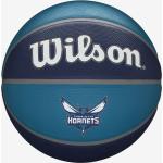 Wilson Nba Team Tribute Charlotte Hornets