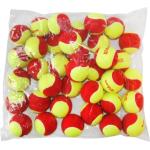 Wilson Starter Red (36 Balls)