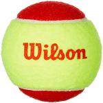 Wilson Tennisbälle Starter Play Green für Kinder u