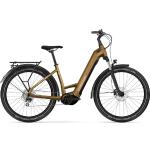 WINORA Yucatan X8 E-Bike mocaccino - gloss 45: Premium-Elektrorad für optimale Performance