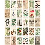 Retro Grußkarten mit Insekten-Motiv 30-teilig 