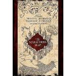 Bunte Harry Potter Karte des Rumtreibers XXL Poster & Riesenposter aus Holz 