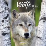 Korsch Verlag Fotokalender mit Tiermotiv aus Papier 