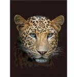 Beige Animal-Print Kuscheldecken & Wohndecken mit Leopard-Motiv aus Flanell 150x200 