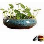 Blaue Runde Teichpflanzkörbe aus Keramik Indoor 