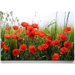 Rote Moderne Mohnblumenbilder 50x50 