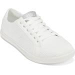 Weiße Xero Shoes Barfußschuhe für Damen Größe 38 