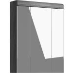 Silberne xonox.home Spiegelschränke Breite 0-50cm, Höhe 0-50cm, Tiefe 0-50cm 