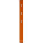 Xora GARDEROBENPANEEL , Orange , 15x170x4 cm , Aufhängemöglichkeit , Garderobe, Garderobenpaneele