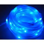 Blaue Wasserdichte LED Lichtschläuche 