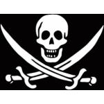 Piratenflaggen & Piratenfahnen aus Polyester 