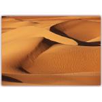 XXL Poster 100 x 70cm (F-226) Sahara Wüste mit imposanten Dünen und Unmengen windgezeichnetem Sand (Lieferung gerollt )