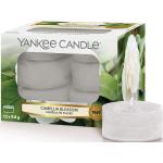 Reduzierte Yankee Candle Teelichter 