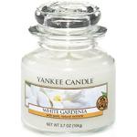Yankee Candle Classic-White Gardenia Duftkerze, Glas, weiß, 6x6x8.9 cm