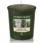 Grüne 49 cm Yankee Candle Duftkerzen 