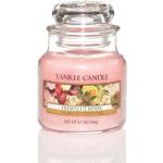 Yankee Candle Classic Small Jar Candles Duftkerze 104 g