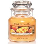 Reduzierte Aprikose Yankee Candle Mango Peach Salsa Duftkerzen im Glas 
