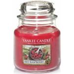 Reduzierte Rote Yankee Candle Red Raspberry Duftkerzen im Glas 