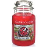 Reduzierte Rote Yankee Candle Red Raspberry Duftkerzen im Glas 
