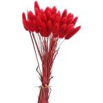 Reduzierte Rote Getrocknetes Pampasgras 50-teilig zum Valentinstag 