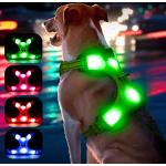 Grüne Reflektierende Hundegeschirre wiederaufladbar 