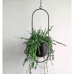 Reduzierte Minimalistische Ovale Pflanzenampeln & Blumenampeln aus Metall Indoor 