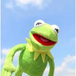 yuanchuang Plüschtier 16cm Kermit Der Frosch Die Muppet Show Kermit Plüschtiere Weiche Tierpuppe Gefüllte Lustige Anhänger Kinder Mädchen Geschenke