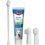 Hunde Zahnpflege 