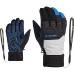 ZIENER GARIM AS(R) glove ski alpine 251 dusty grey 8,5