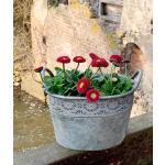 Ovale Pflanzkübel & Blumentöpfe ab 1,00 günstig € online kaufen