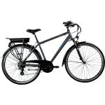 ZÜNDAPP E-Bike Trekking »Green 7.7«, 28 Zoll, RH: 48 cm, 21-Gang - grau grau